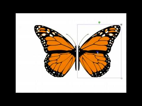 Symmetria ja peilikuva