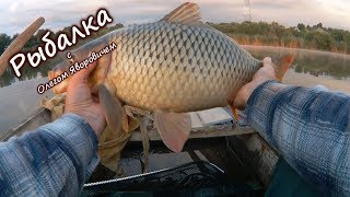 Можно ли поймать карпа на блесну