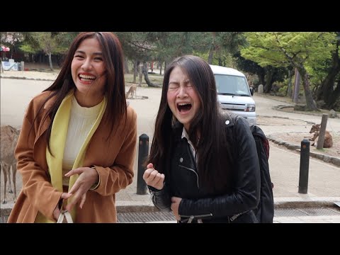 Nara and Kyoto, Japan with the Bida-bida Sibs & ME!