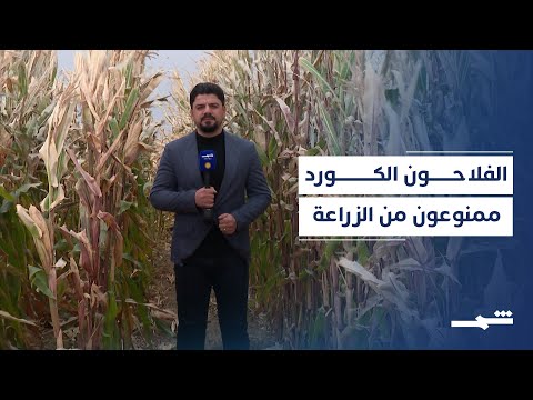 فيديو | كركوك.. قيود تمنع الفلاحين الكورد من الزراعة وتسويق المحاصيل