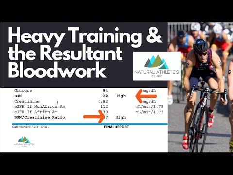 Heavy Training & Resultant Bloodwork