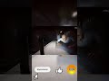 Was Die Lunch Lady Denkt Shorts Lunchlady