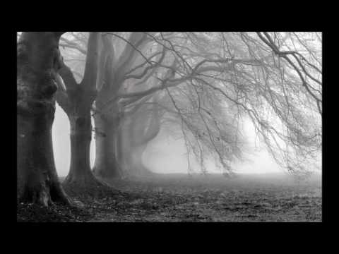 Diamanda Galas - My world is empty without you