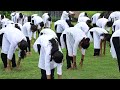 INTERNATIONAL YOGA DAY CELEBRATION 2022 ERNAKULAM REGION KENDRIYA VIDYALAYA KANNUR