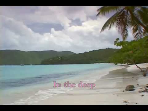 Bird York -  In TheDeep with onscreen lyrics