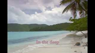 Bird York -  In TheDeep with onscreen lyrics