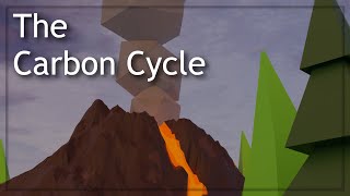 The Carbon Cycle - 3D Animation