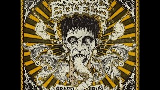 Squash Bowels - Grindvirus 2009 [FULL ALBUM]