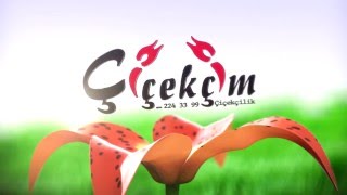 kütahya çiçek siparişi, 0274 223 02 02