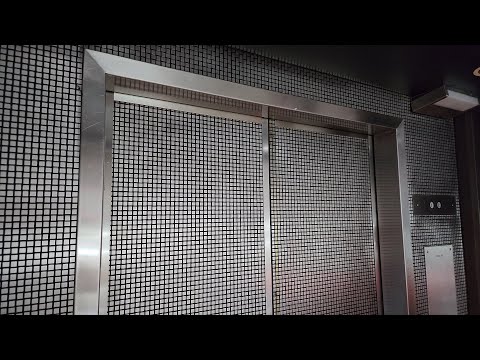 Original Westinghouse Hydraulic Scenic Elevator PlazAmericas Mall Houston, TX