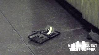 WHILST YOU WERE ASLEEP