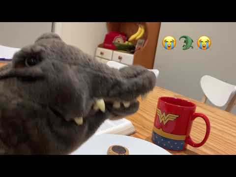 Kid's Talk with Croc - Episode 4 - "Croc and the Dentist's Drill"