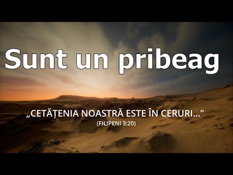 Sunt un pribeag fără de țară | Fie ca mesajul cântării să aducă speranță și pace sufletească 🙏