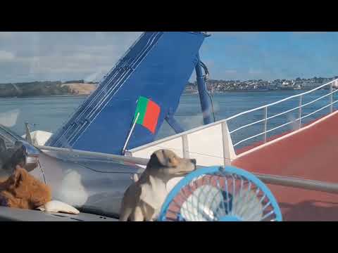 #cozy2022 #vanlife #mk5transit