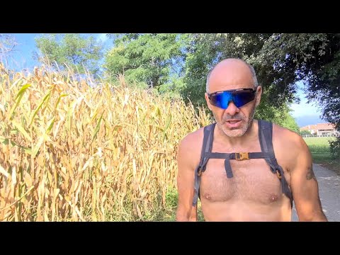 Tappa 14 da Castelfranco Veneto a Cittadella