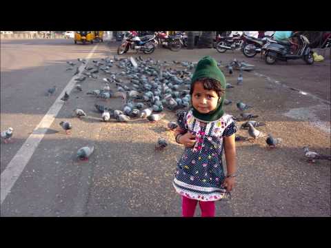 Kids Playing with Birds