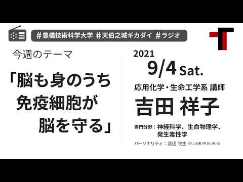 【音声】やしの実FM 天伯之城ギカダイ 2021/09/04【ラジオ】