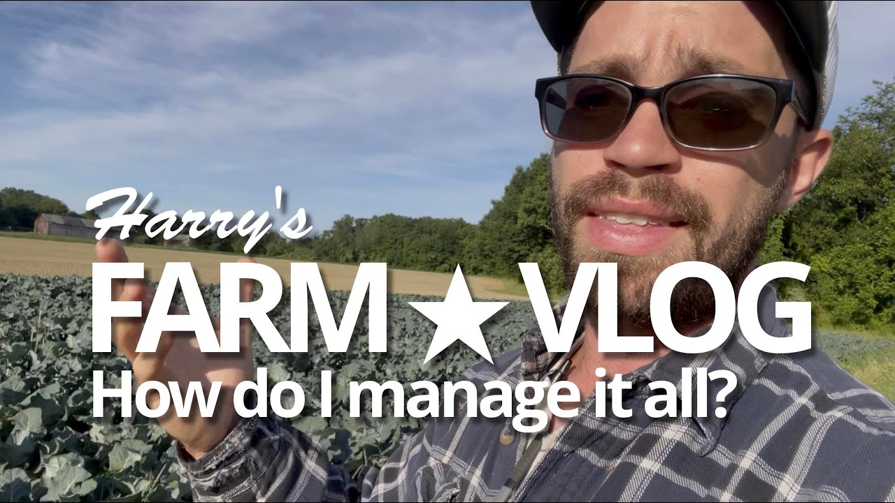 How do I manage it all?