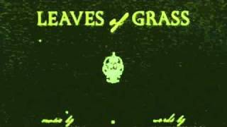 After the Dazzle of Day