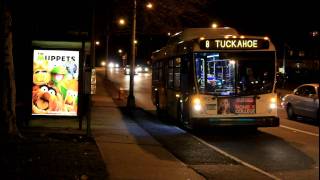 Bee-Line Bus: 40LFW Route 8 , AN460 Route 20 / 21, Orion 5 BxM4C at NYS 100 / Tuckahoe Road