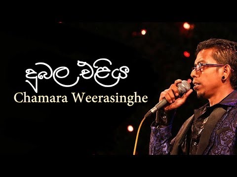 Chamara Weerasinghe songs Dubala eliya | Cover | Chamara Weerasinghe song #chamaraweerasinghe hiru