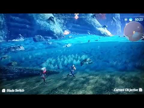 Xenoblade Chronicles 2 - How To Complete Vandham's Affinity Chart Before He Die