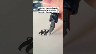 Some calligraphy flourishes with my favorite flex nib (per my previous video)!!!