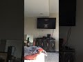 Closing To Open Season Open Season 2 2016 DVD Part 2