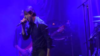 Suede   Pantomime Horse