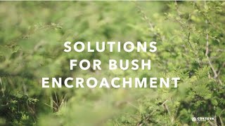 Solutions for bush encroachment
