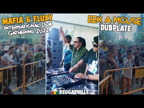 Mafia & Fluxy - Eek A Mouse Dubplate  @ International Dub Gathering 2022 [Spain - May 14, 2022]