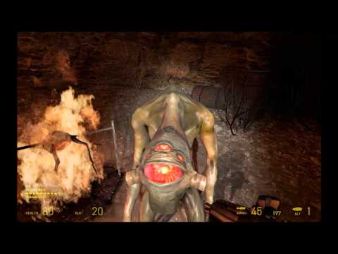 Half Life 2 - Radiation Hazard Hidden Vortigaunt