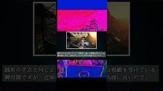 【朗読】銭形平次捕物控｜復讐鬼の姿｜睡眠・作業用｜七味春五郎