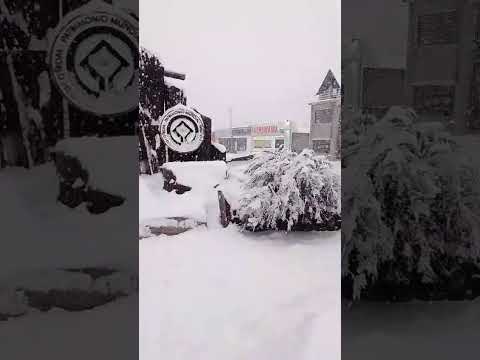 Gran nevada en El Chaltén, Santa Cruz 12/07/26 #nevadas #nieve