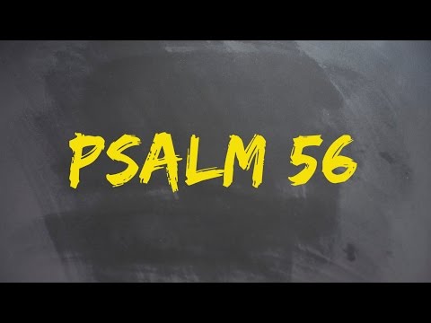 PLASTER MIODU. Psalm 56: Po co są łzy?