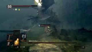 ダークソウル　二人なら！