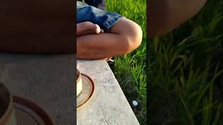 Download lagu Story wa ngopi pinggir sawah #short #shorts mp3