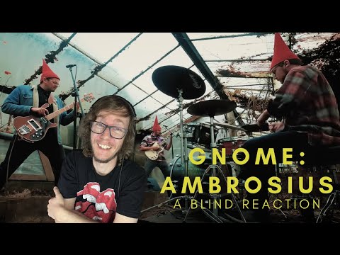 Gnome - Ambrosius (A Blind Reaction)