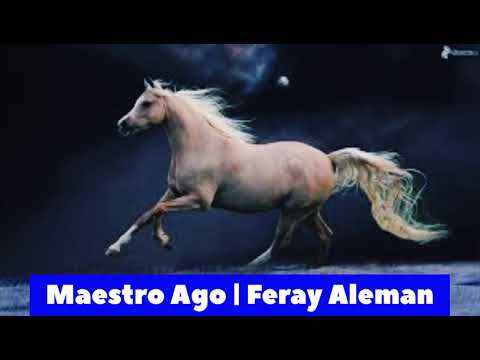 Maestro Ago X Micka "Feray Aleman" [Official Music]