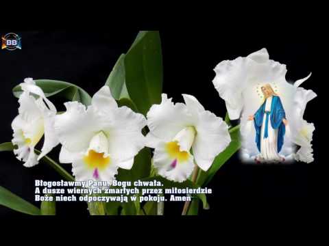 Godzinki o Niepokalanym Poczęciu NMP.