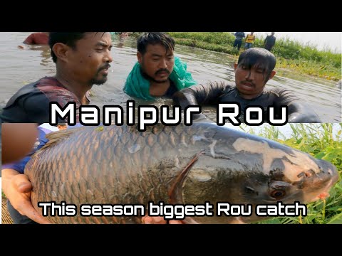 Nga Achouba ga namnaba | Manipur Rou