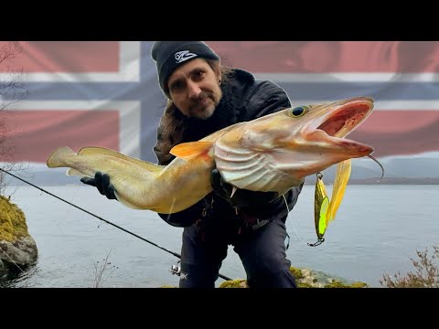 Mieses Wetter - Dicker Leng - mit der Spinnrute vom Ufer!