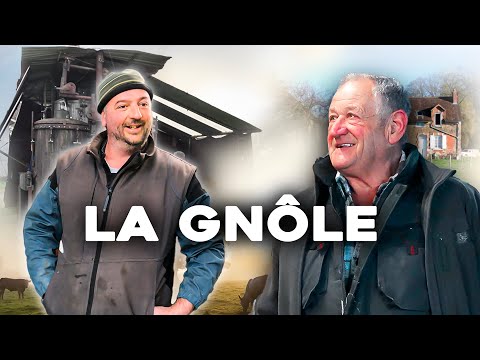 Jean-Louis sends his PLUMS to DISTILL!