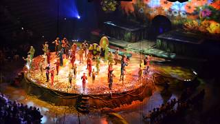 Cirque Du Soleil OVO in Charleston, SC for my Son's Birthday