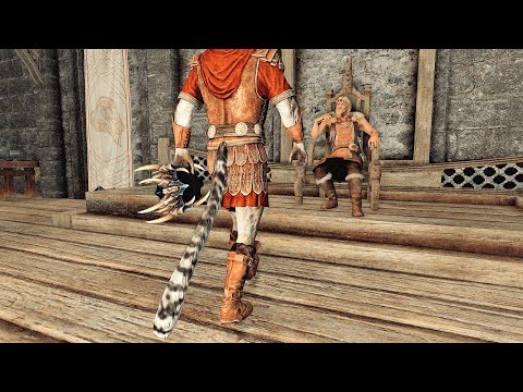 Things You Didn't Do in Skyrim