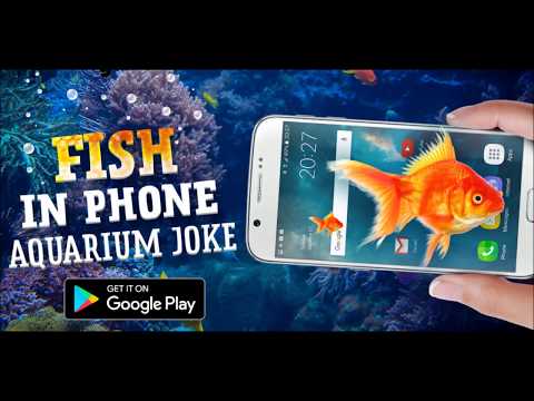 Fish In Phone Aquarium Joke Video