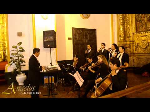 Angelus...El Coro de Lujo!  2013 Halleluja (G.F.Haendel)