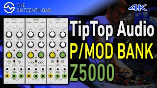 Video thumbnail for TipTop Audio Z5000 PITCH/MOD Effect Bank Sound Demo by Attila Hanak (Attila Hanak)