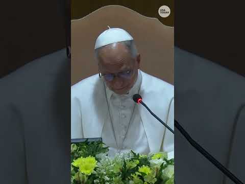 Religious exemption for AI? Pope Leo encyclicals spark questions.