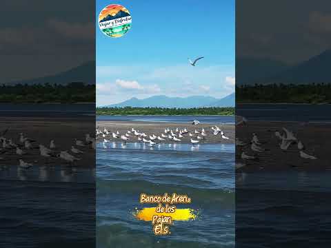 Banco de Arena de Pajaritos, Usulutan, El Salvador  #elsalvador #jiquilisco #playa #usulutan